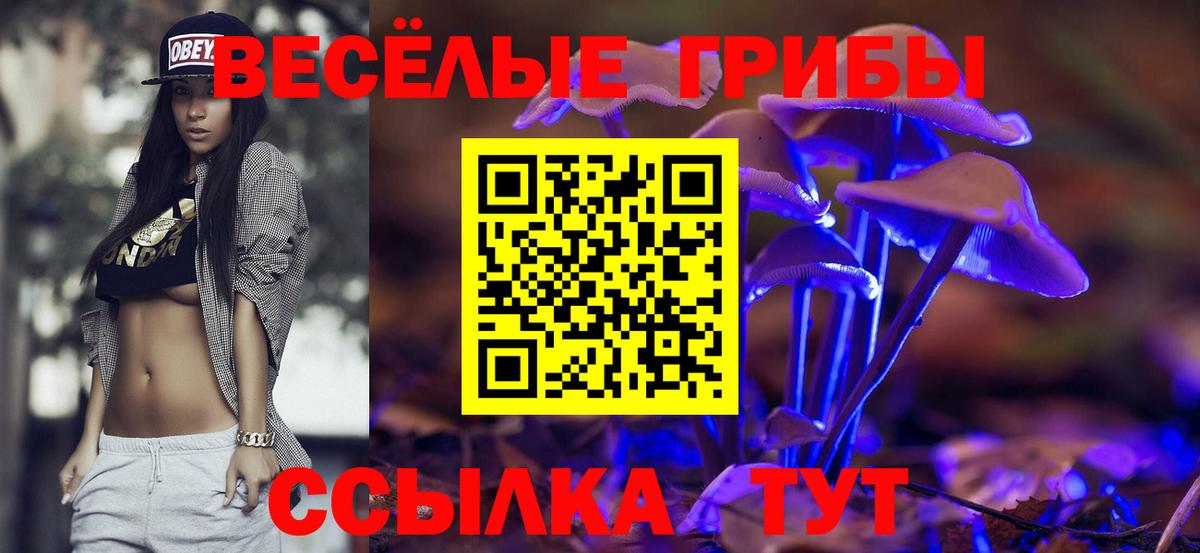 дарнет шоп  Вход с VPN  Прокопьевск  Псилоцибиновые грибы Magic Shrooms 