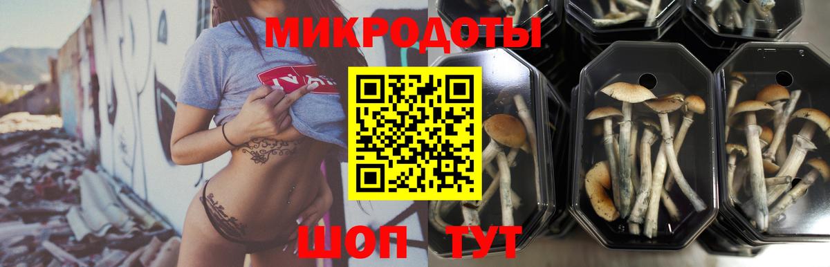 Галлюциногенные грибы MAGIC MUSHROOMS Прокопьевск